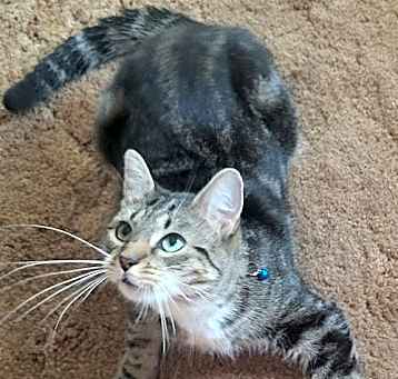 Photo of Chloe