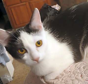 Photo of Salty