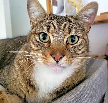 Photo of Clyde