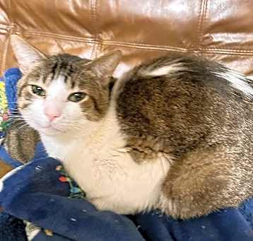 Photo of Quincey
