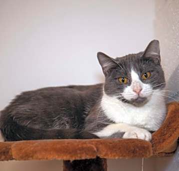 Photo of Twinkle