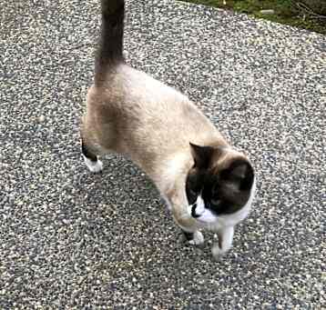 Photo of Needy