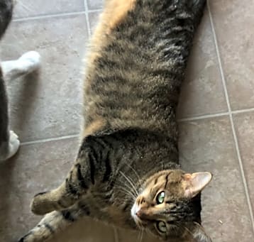 Photo of Sophie