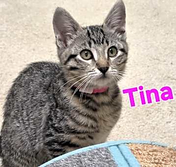 Photo of Tina