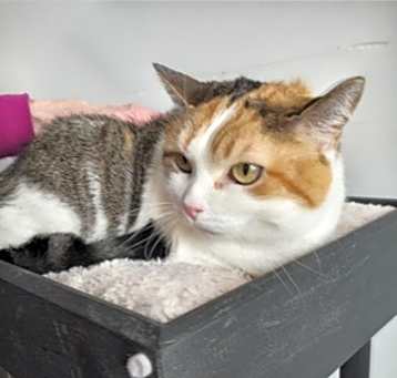 Photo of Agatha