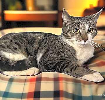 Photo of Shania