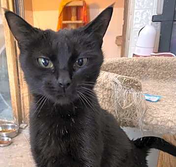 Photo of Bumble