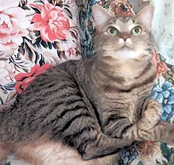 Photo of Sasha