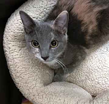 Photo of Hazel