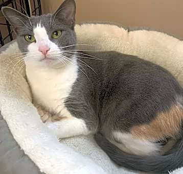 Photo of Roxy