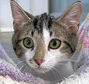 Photo of Oliver