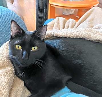 Photo of Windy