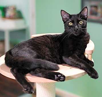 Photo of Grady