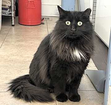 Photo of Rhea