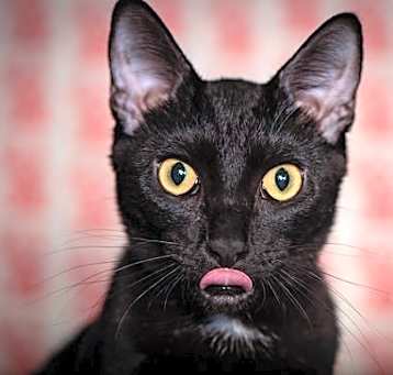 Photo of Wyatt