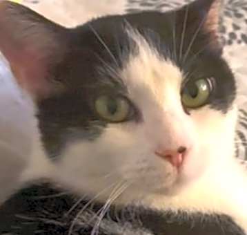Photo of Maggie