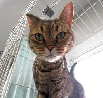 Photo of Zuke