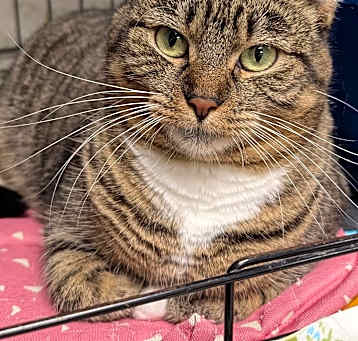 Photo of Shelly