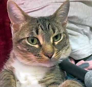 Photo of Lacie