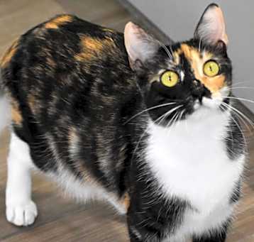 Photo of Buttons