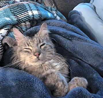 Photo of Pennie
