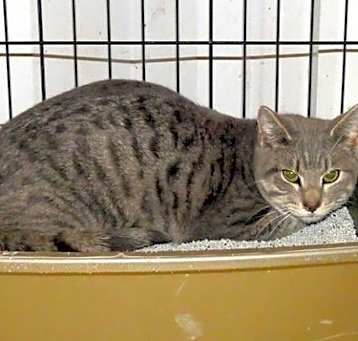 Photo of Rocket 8322