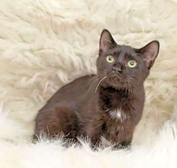 Photo of Eenie