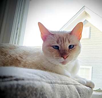 Photo of Ruthie