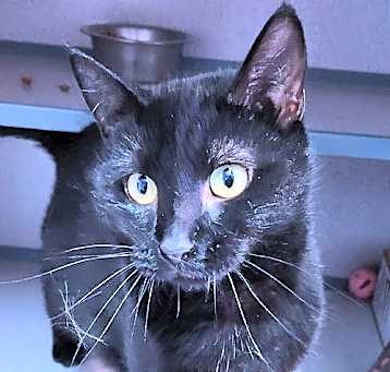 Photo of Bonnie