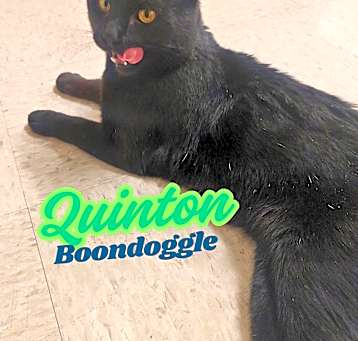 Photo of Quinton Boondoggle