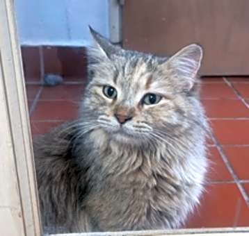 Photo of Bella