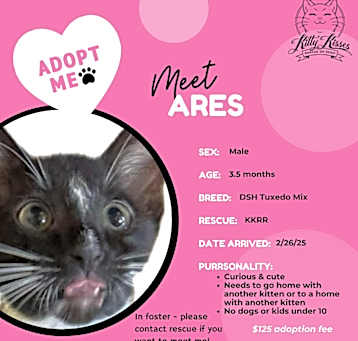 Photo of Ares