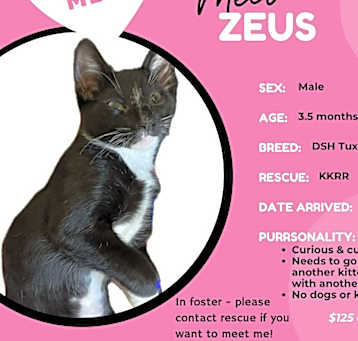 Photo of Zeus