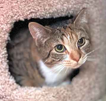 Photo of Gemma