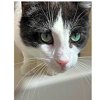 Photo of Asher