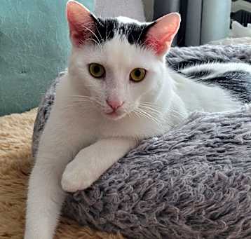 Photo of Thumper