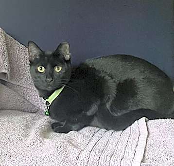 Photo of Kiki