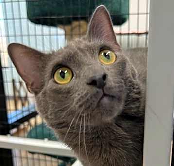 Photo of Olaf