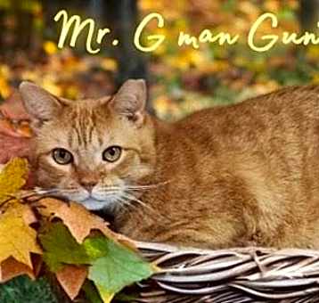 Photo of Mr. G Man Gunther