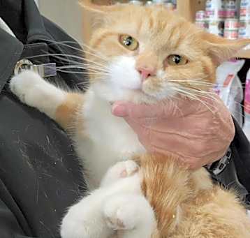 Photo of Timmy