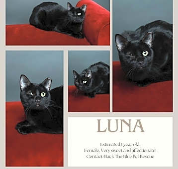 Photo of Luna