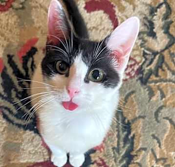 Photo of Miracle