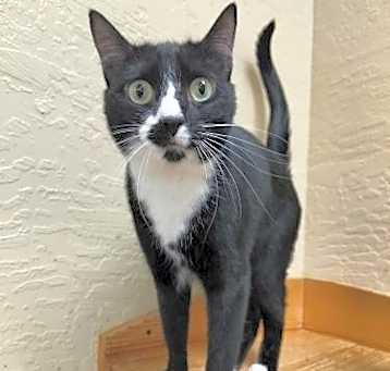 Photo of Arwen