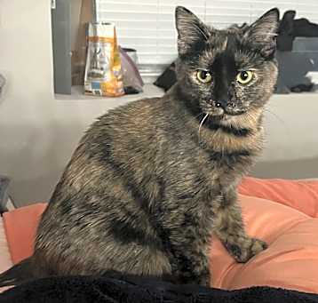 Photo of Prudence