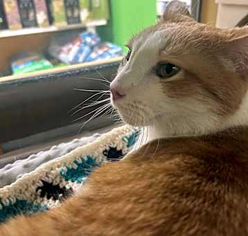 Photo of Fritz