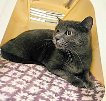 Photo of Mina 008260