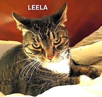 Photo of Leela