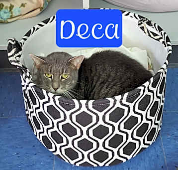 Photo of Deca
