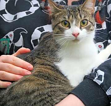 Photo of Sugar