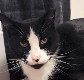 Photo of Squeaky